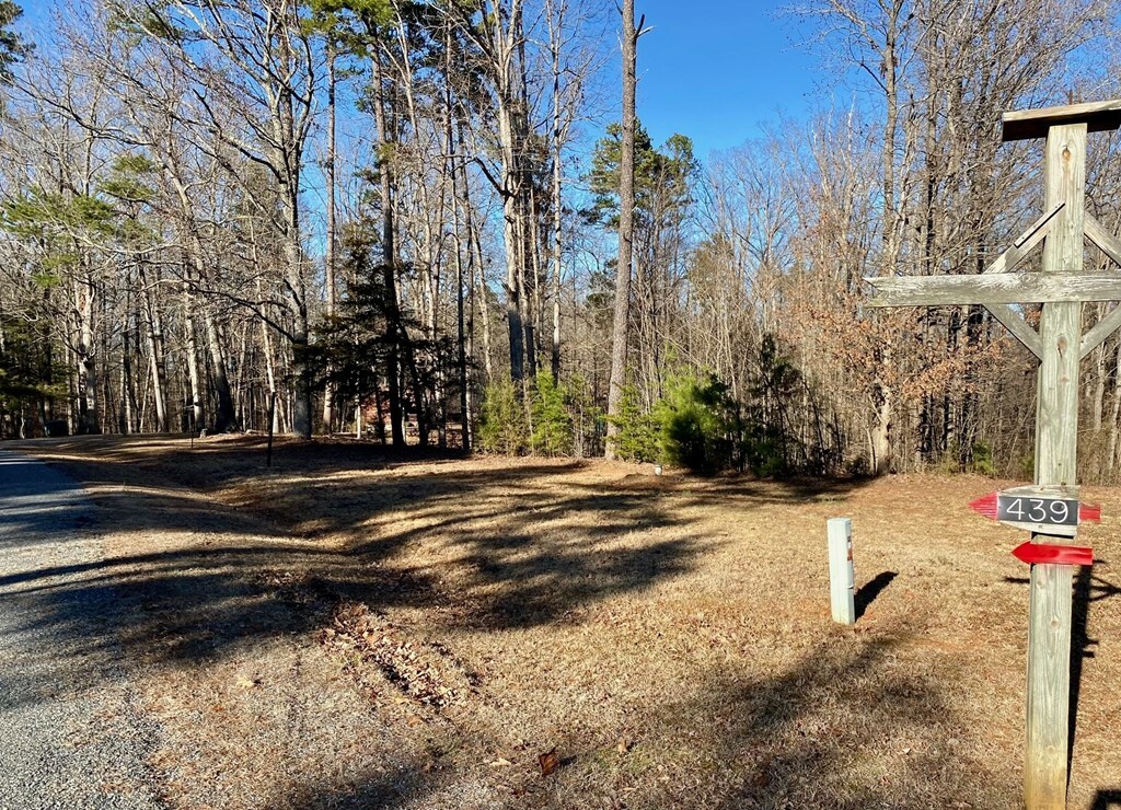 Property Photo:  Lot 45 Buffalo Drive  VA 24529 