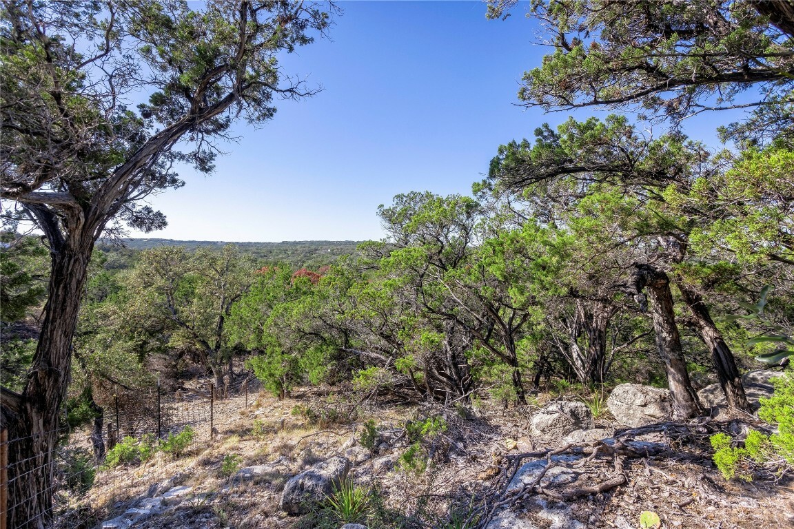 1725 Cripple Creek Stage Road  Dripping Springs TX 78620 photo