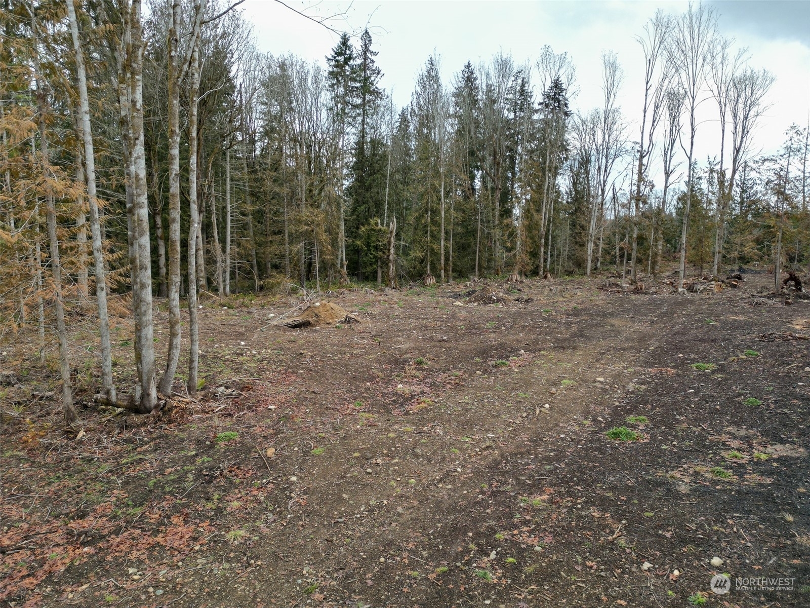 Property Photo:  9999 S Doss Road  WA 98362 