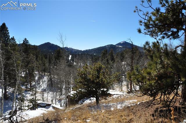 Property Photo:  98 Bennett Drive  CO 80813 