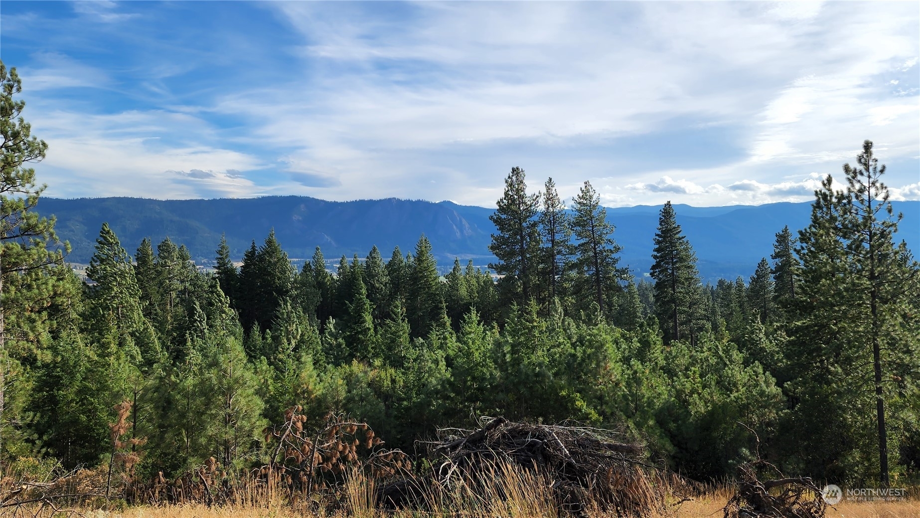 3 Forest Ridge Dr (Lot 3)  Cle Elum WA 98922 photo