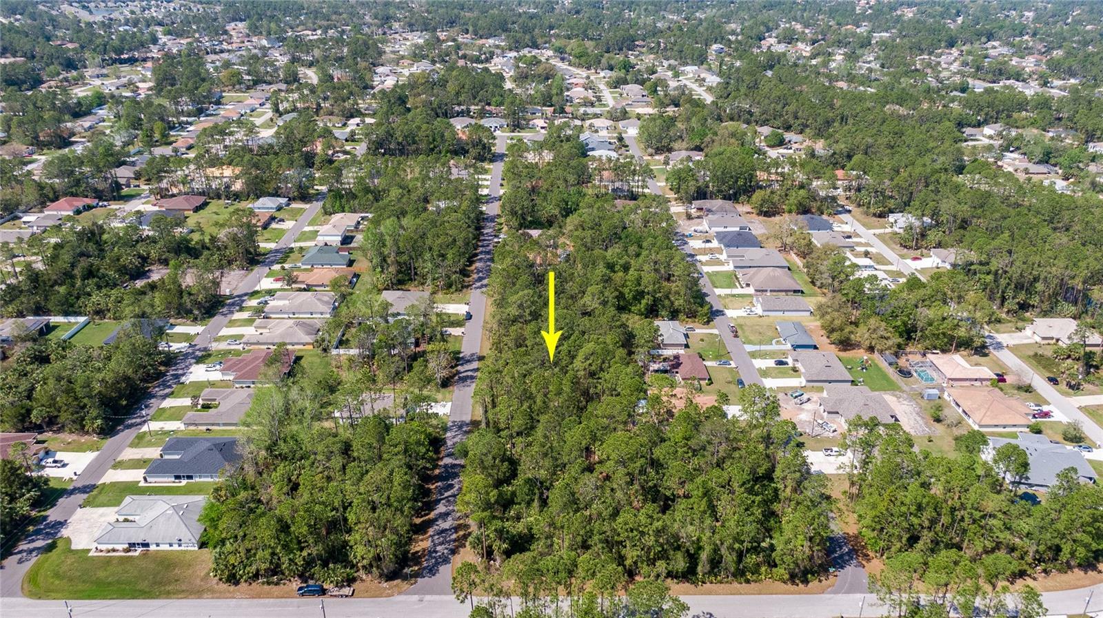 Property Photo:  31 Pontiac Lane  FL 32164 