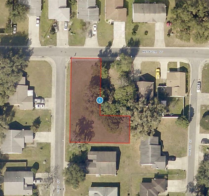 Property Photo:  Magnolia Street  FL 34748 