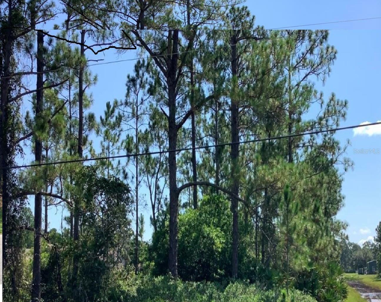 Property Photo: Caesar Avenue FL 32833