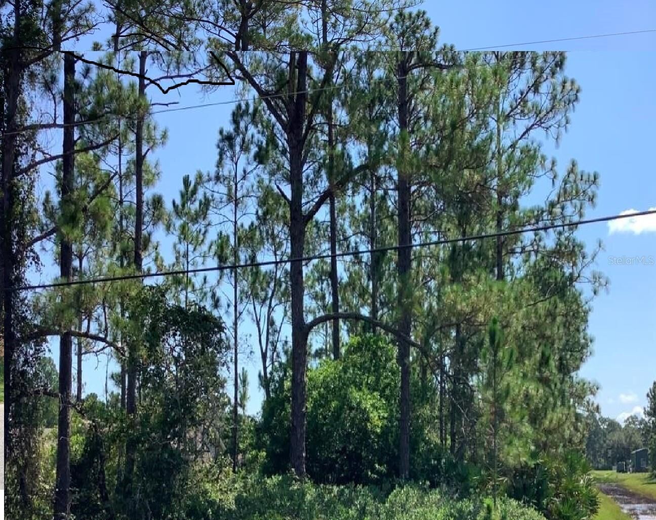 Property Photo: Caesar Avenue FL 32833