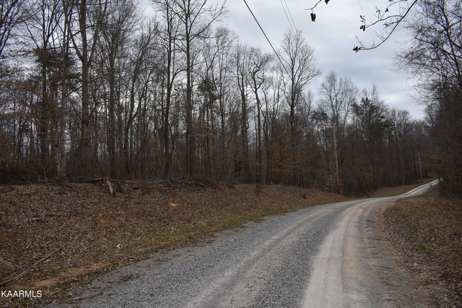Property Photo:  Lot 5 Jones Ridge Rd  TN 37870 
