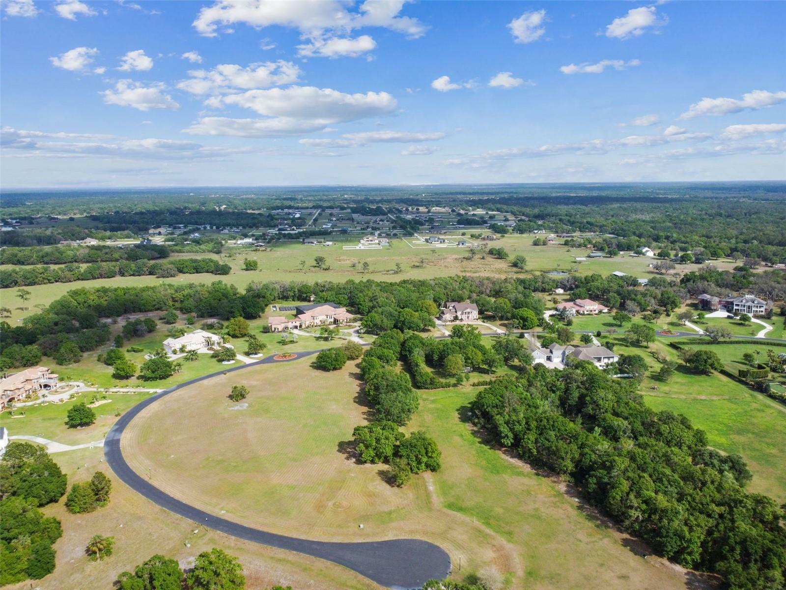 Property Photo:  11423 Hammock Oaks Court  FL 33547 