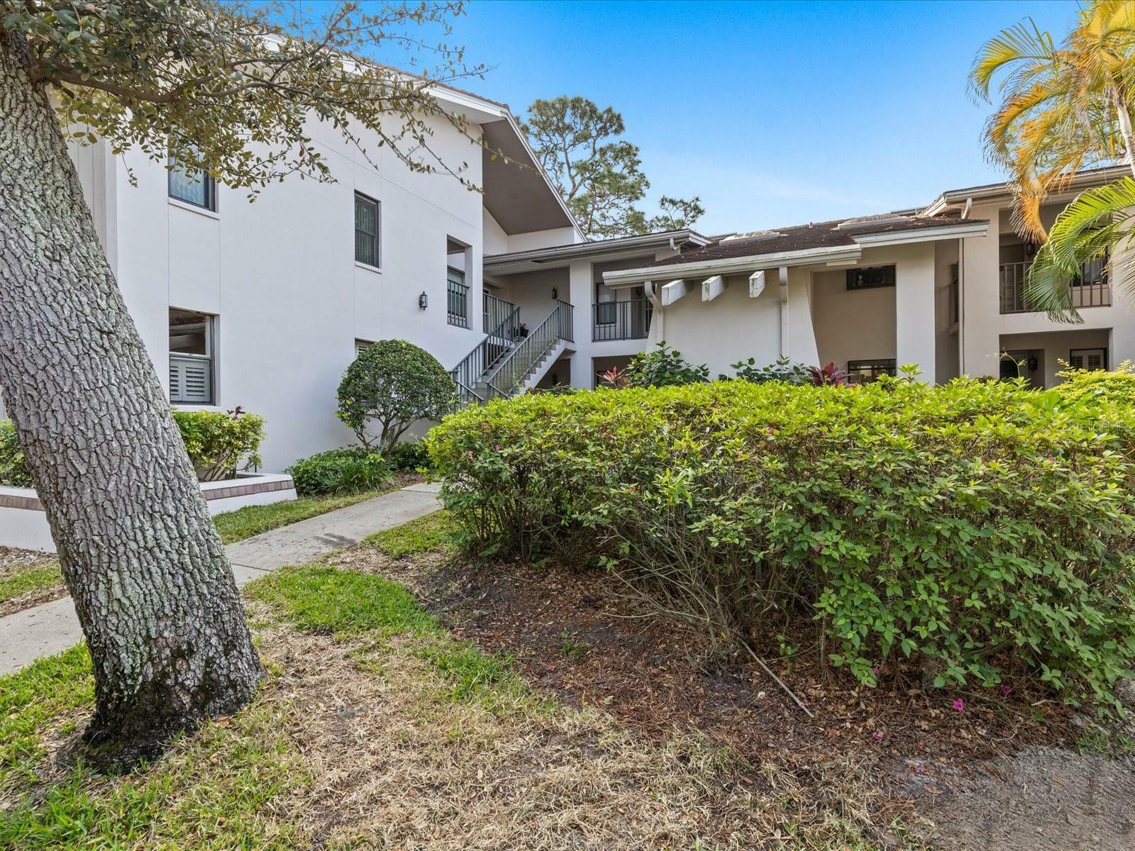 Property Photo:  300 S Florida Avenue 400B  FL 34689 