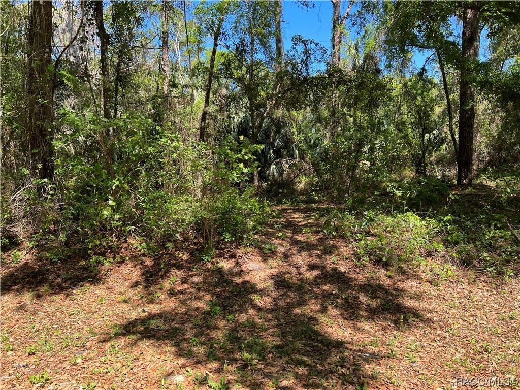 Property Photo:  5979 E Vale Street  FL 34452 