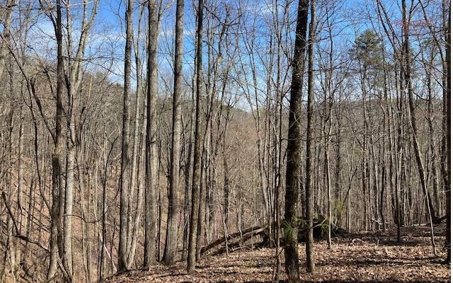 Property Photo:  1114 Bethel Ct - Lot 1114  GA 30734 