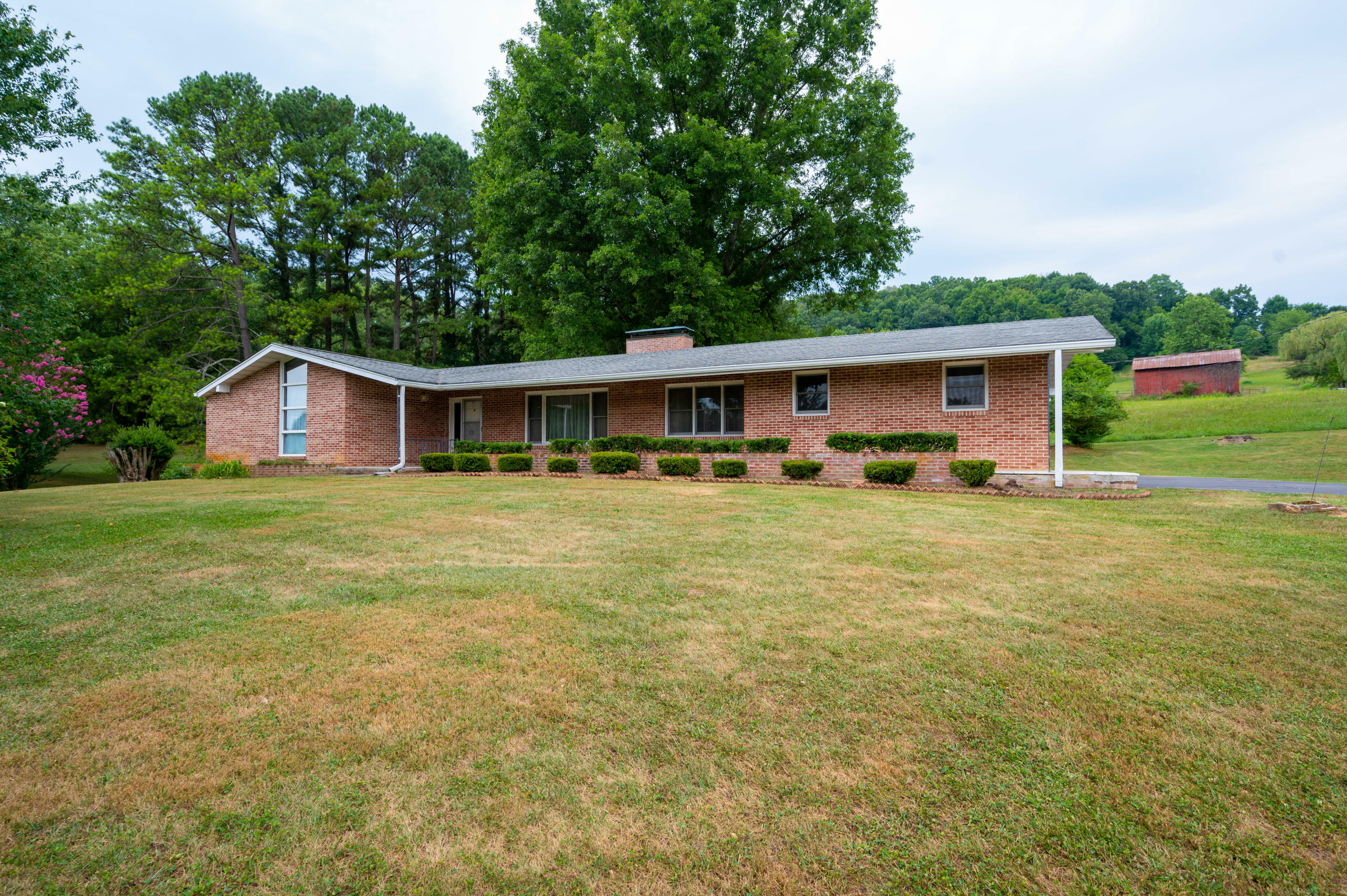 Property Photo:  166 Ellis Road  TN 37617 