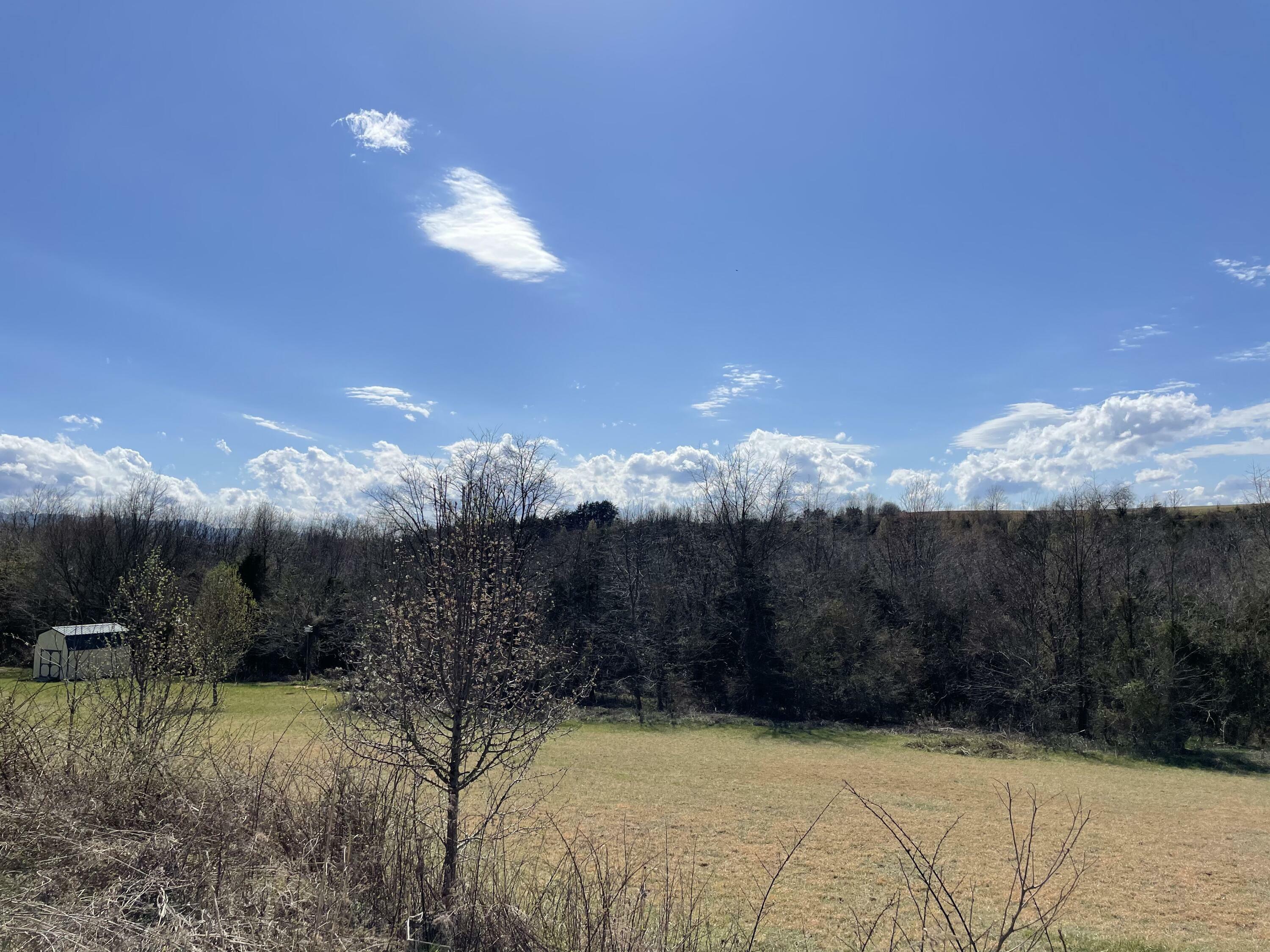 Lot #1 Lou Fox Drive  Telford TN 37690 photo