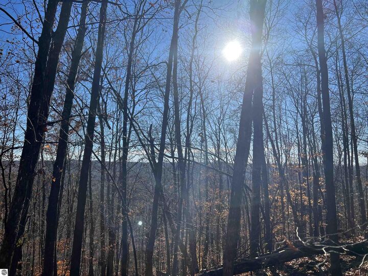 Vl Kellogg Road  Rapid City MI 49676 photo