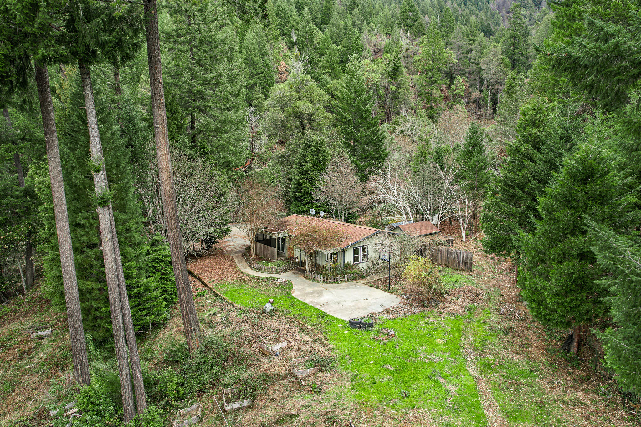 Property Photo:  355 Peach Tree Lane  CA 95573 