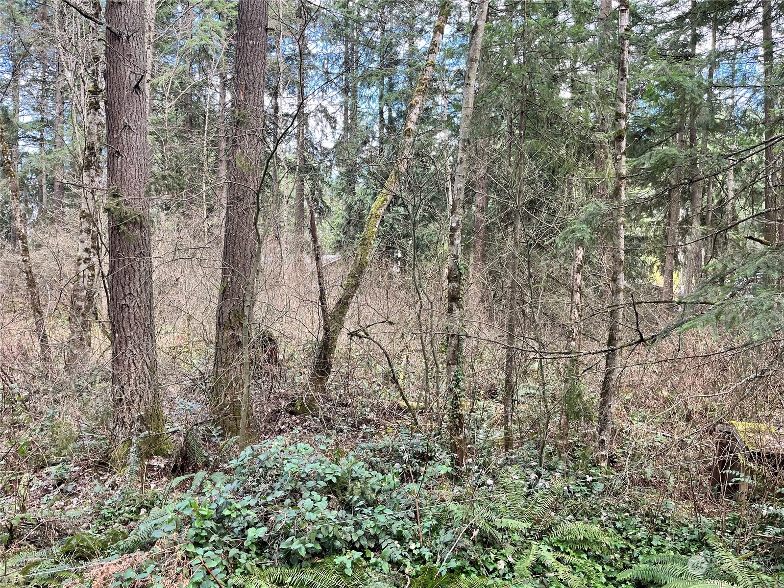 Property Photo:  0 113th Avenue E  WA 98338 