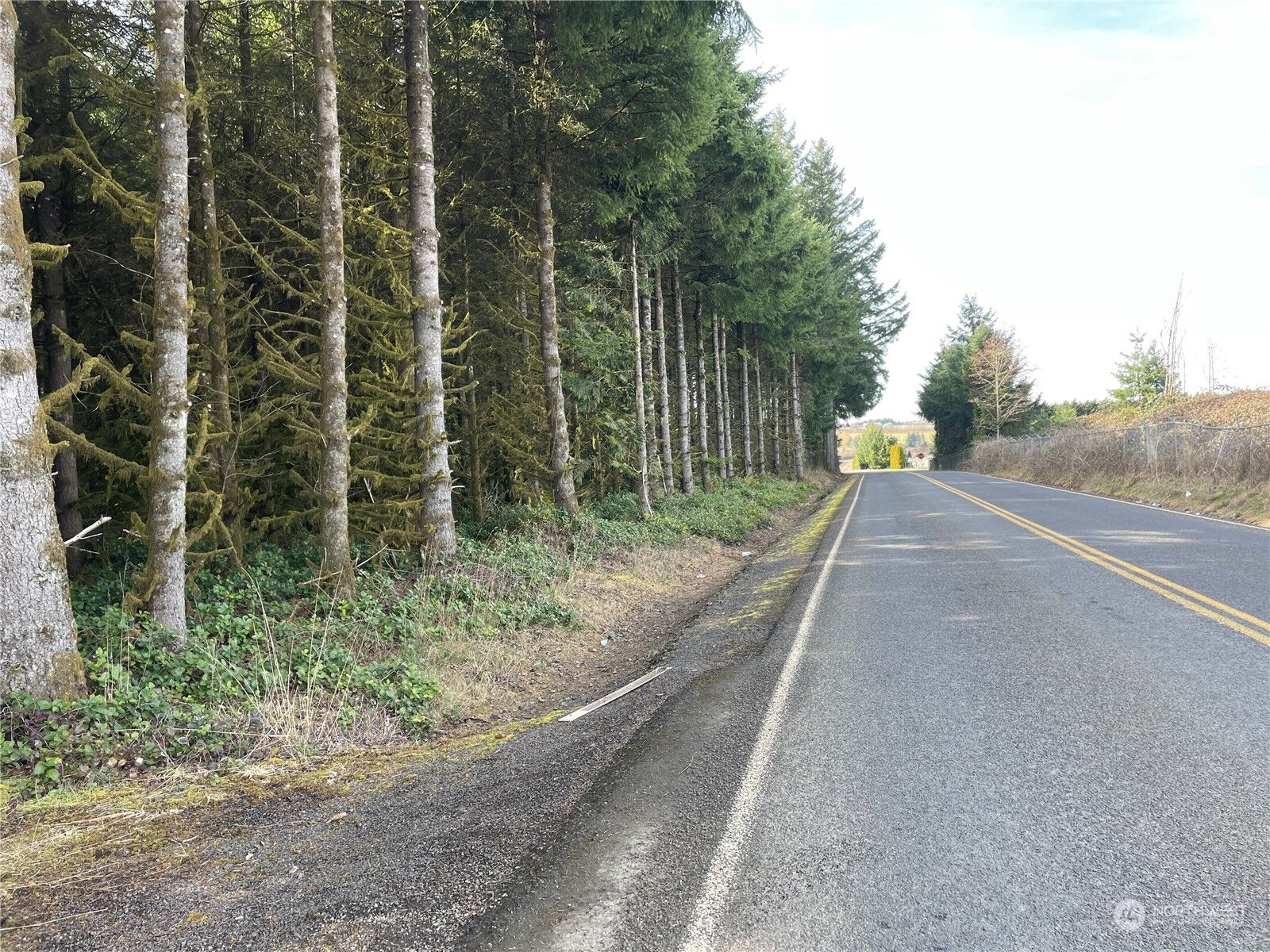 Property Photo:  0  Tennessee Road  WA 98596 
