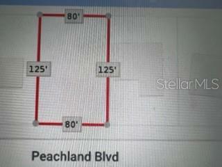 Property Photo:  23326 Peachland Boulevard  FL 33954 