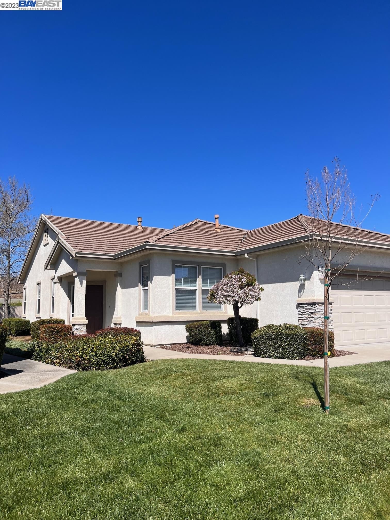 Property Photo:  313 Upton Pyne Dr  CA 94513 