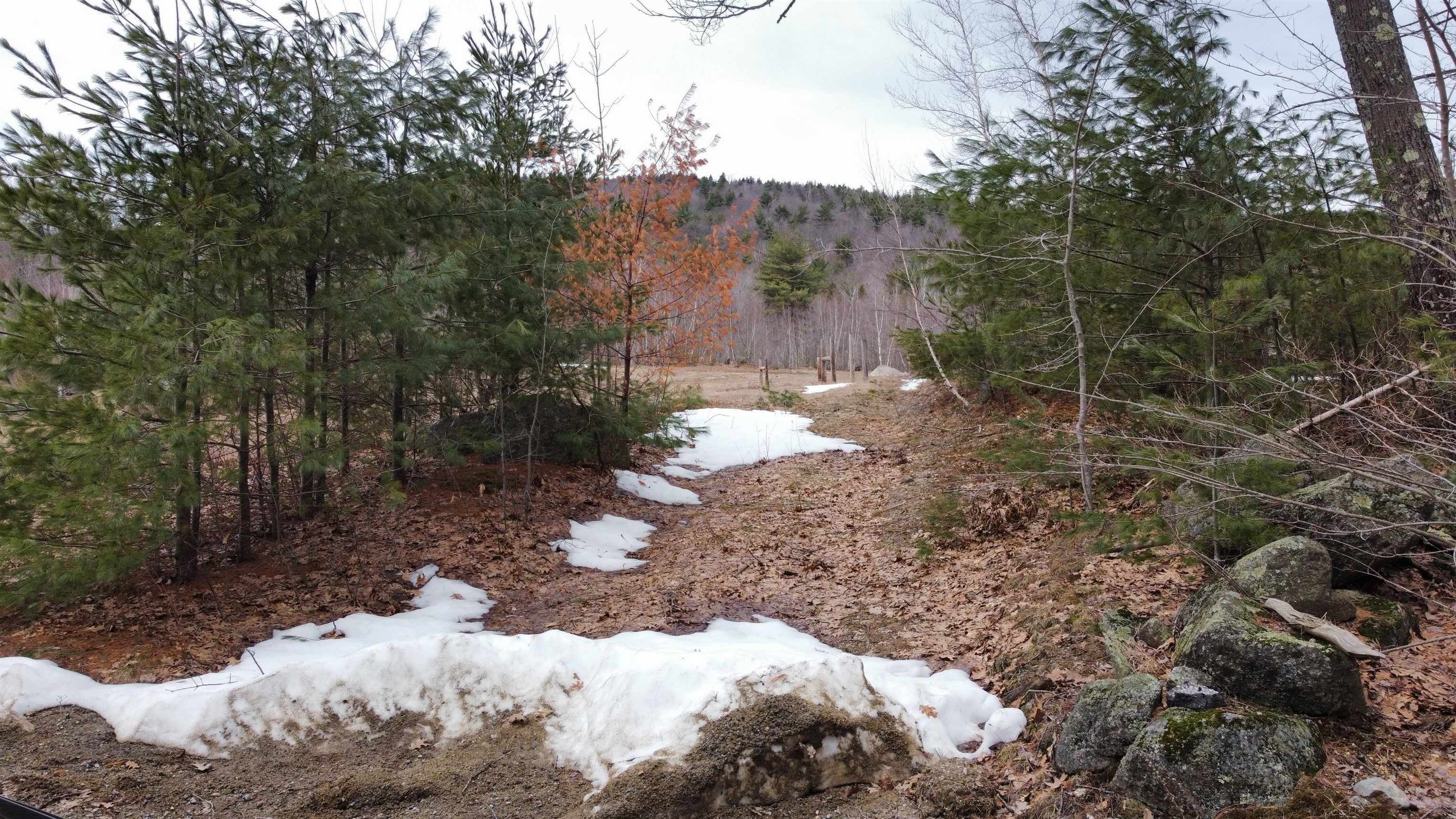 Property Photo:  000 Willard Pond Road  NH 03449 