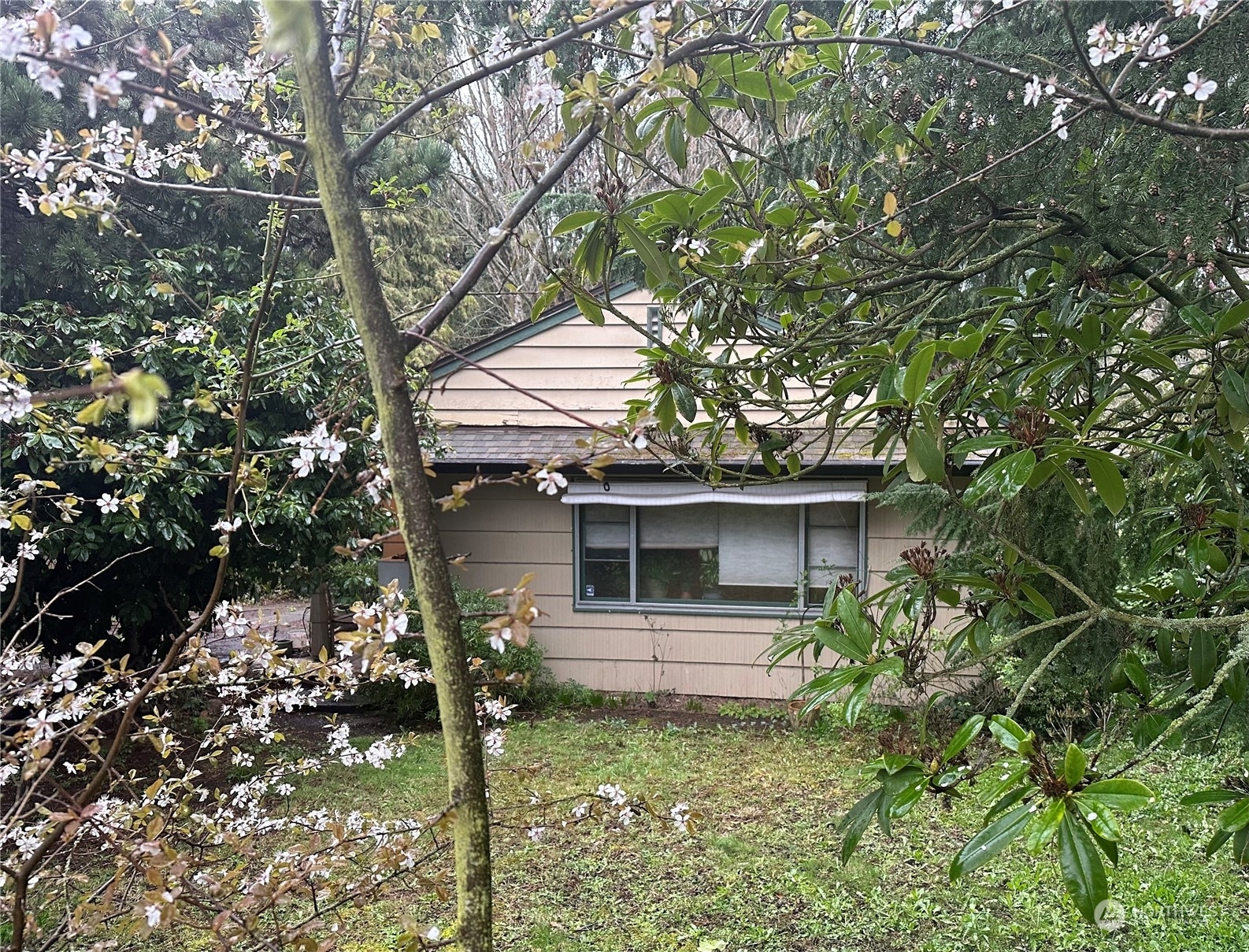 Property Photo:  9444 12th Avenue SW  WA 98106 