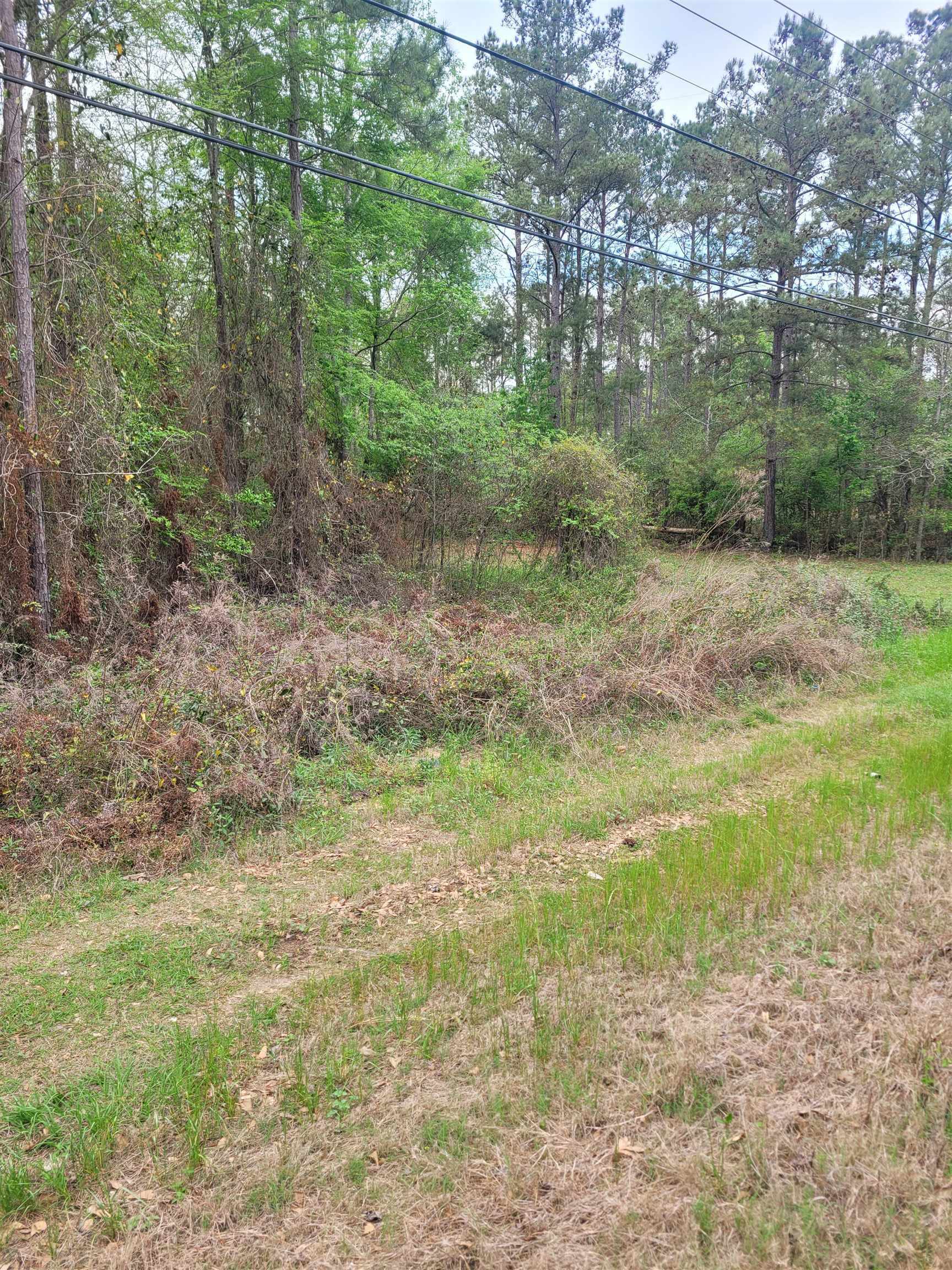 Property Photo:  Lot 1 Faceville Highway  GA 39819 