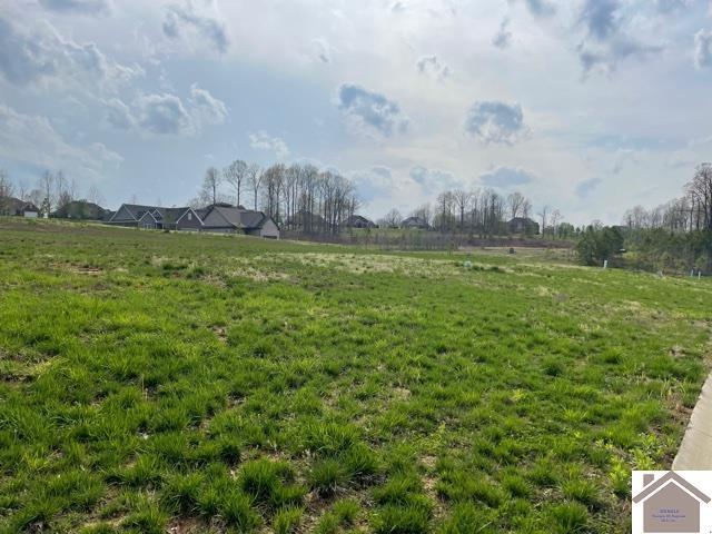 Property Photo: 155 Low Ridge Lane KY 42003