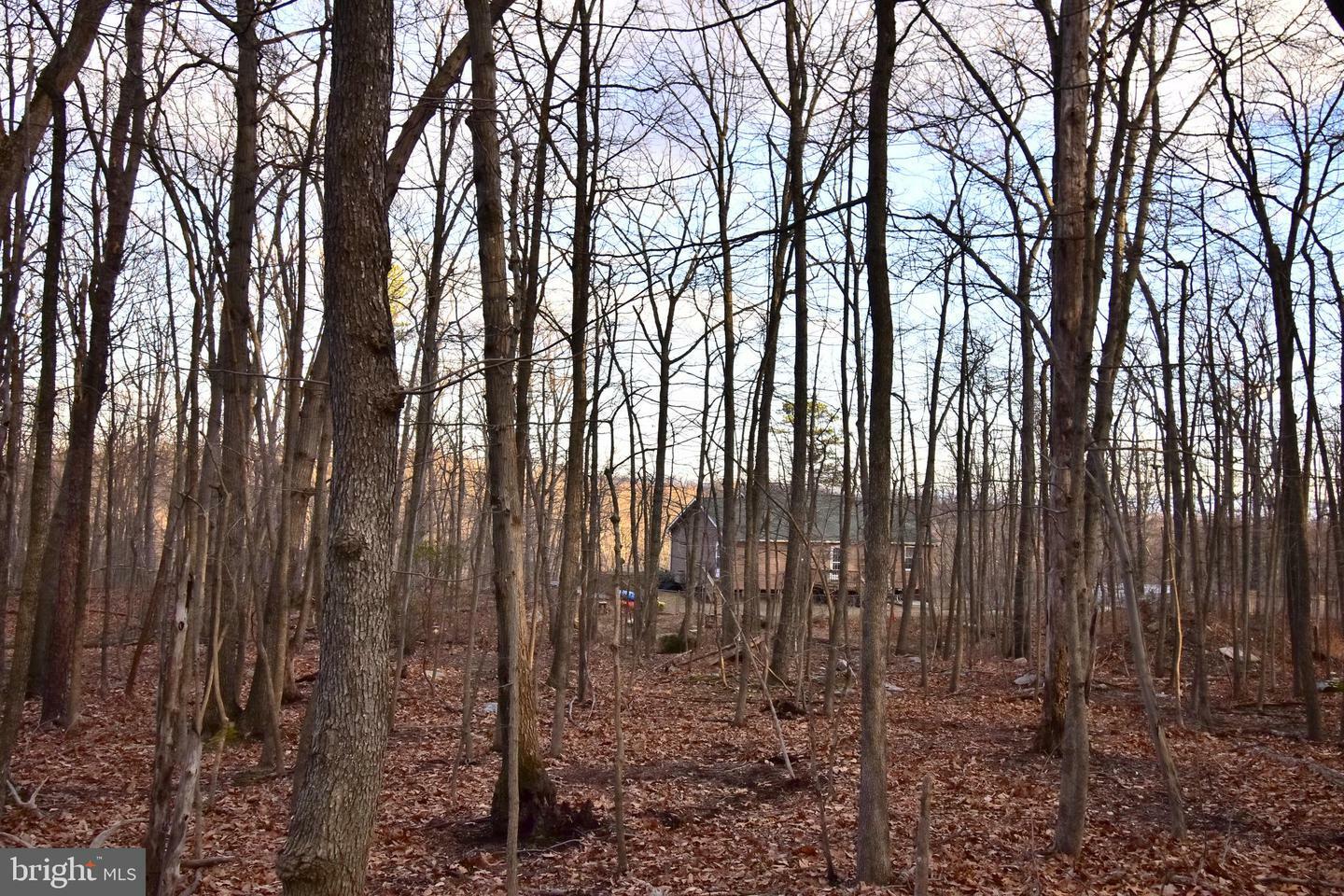 Property Photo:  Lot 17 Fox Trail  VA 22602 