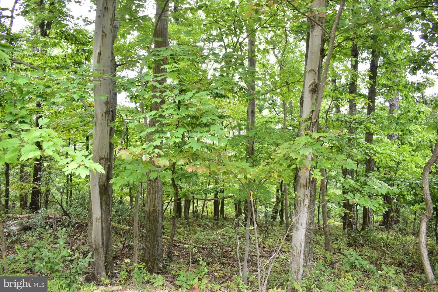 Property Photo: Lot 17 Fox Trail VA 22602