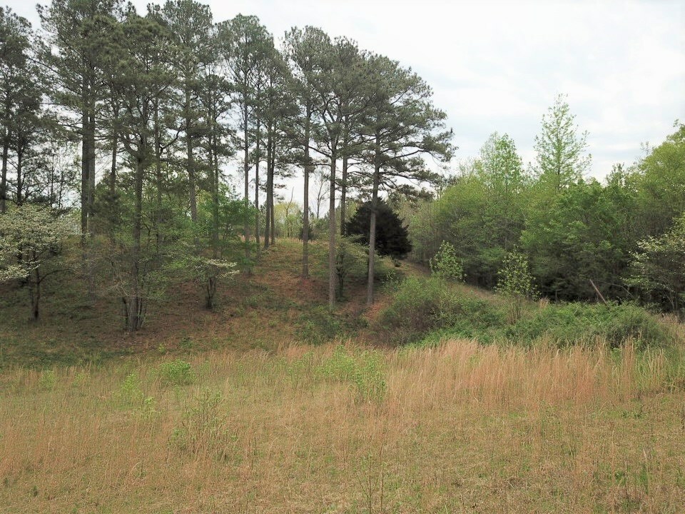 Property Photo:  0 Maple Grove Church Road  GA 30705 