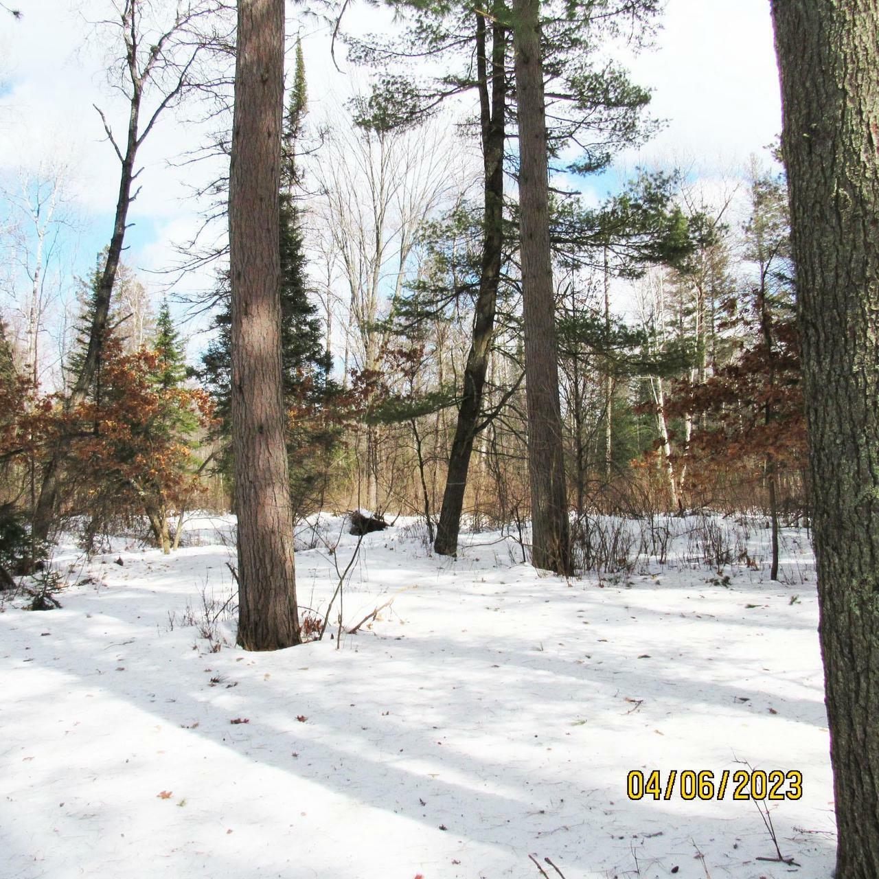 Property Photo:  40 Acres Rogers Drive  WI 54487 