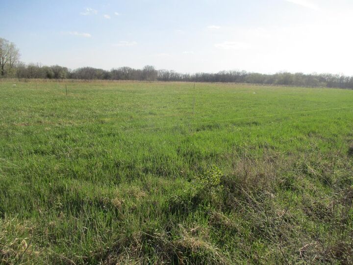 Property Photo: 1101 N Walnut MO 63501