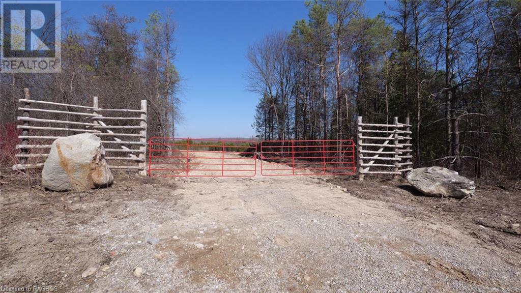 775669 10 Highway  Chatsworth ON N0H1G0 photo