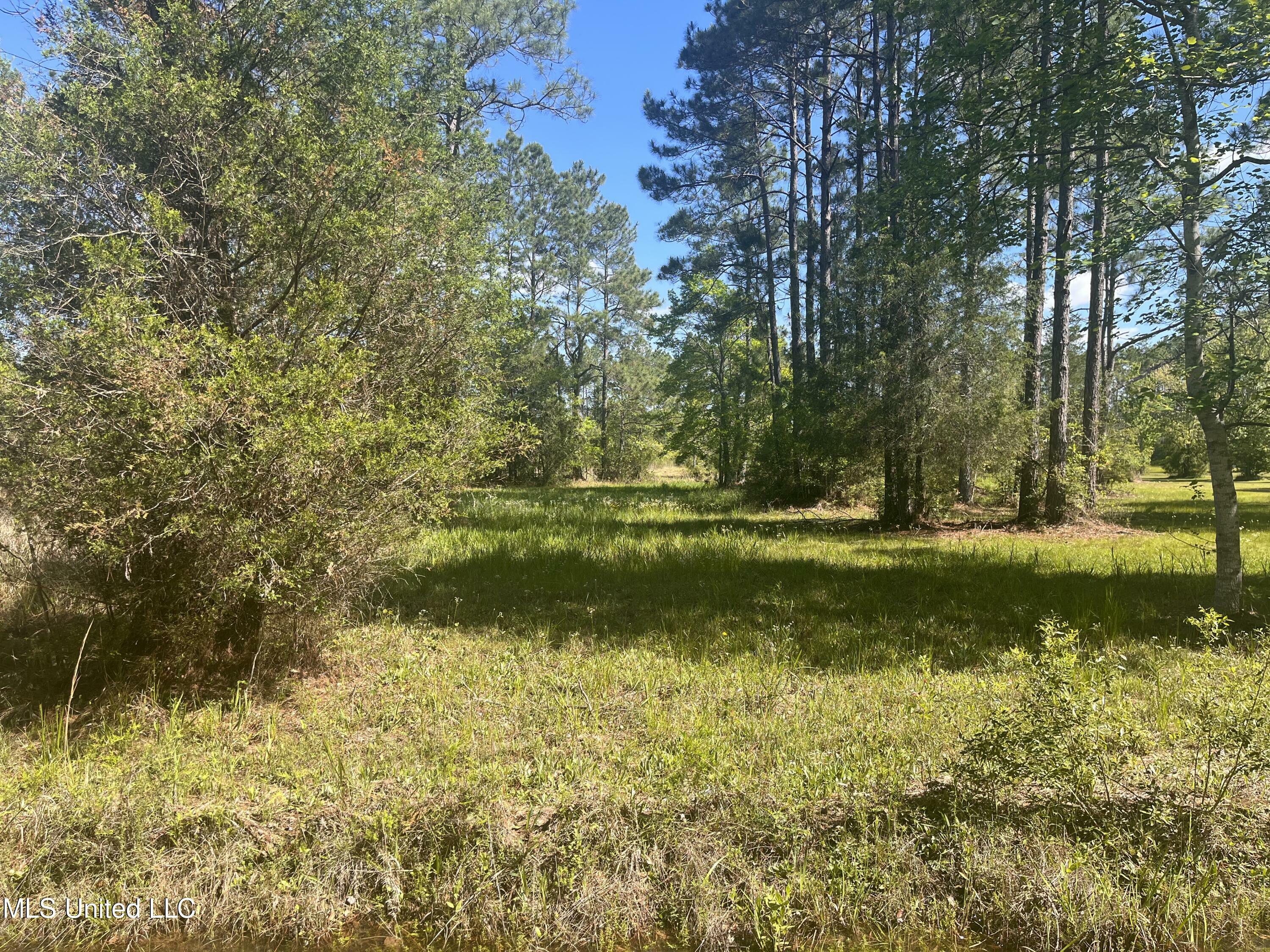 Property Photo:  Michael Drive  MS 39562 