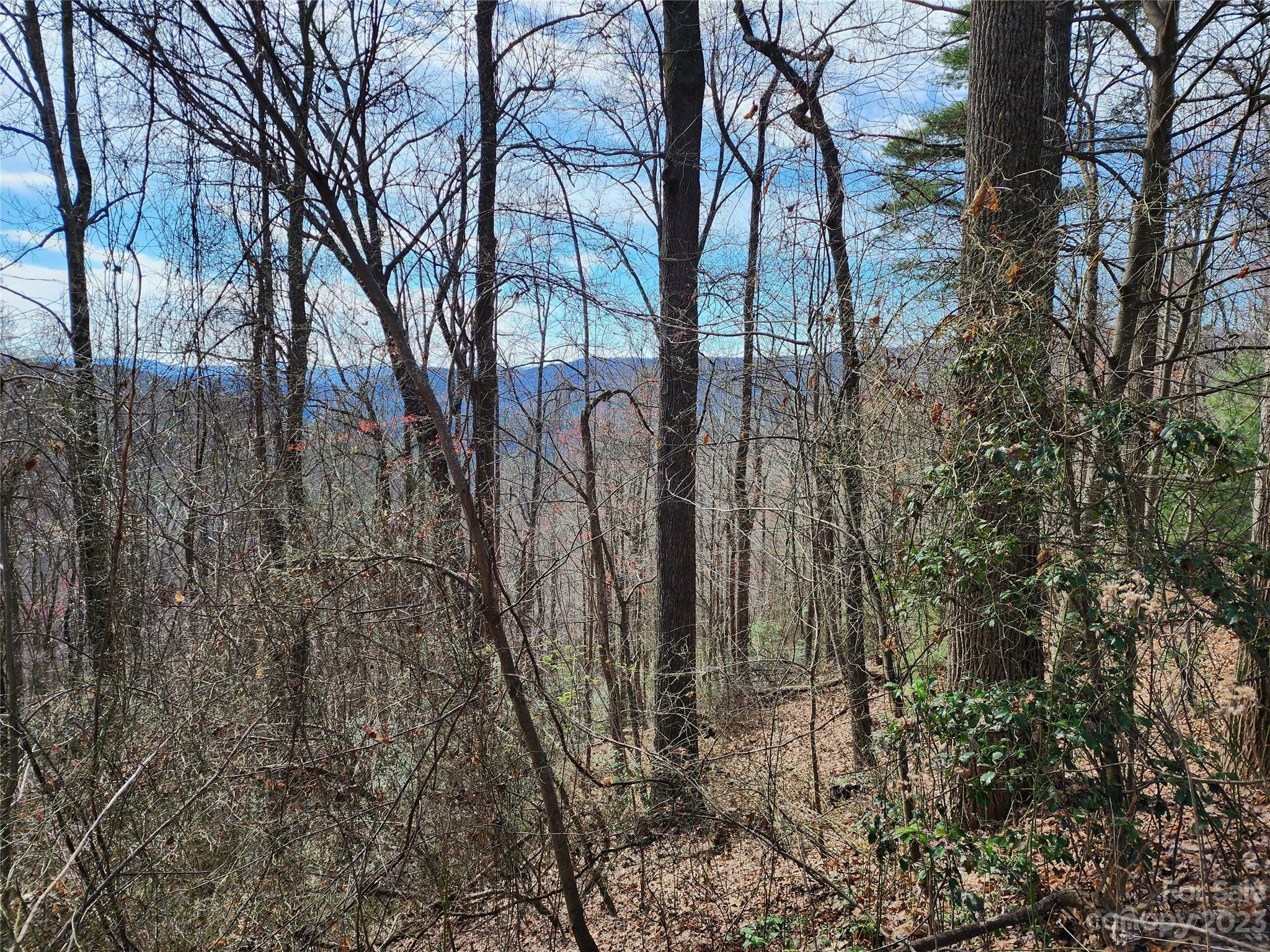 Property Photo:  Tbd Deer Run  NC 28665 