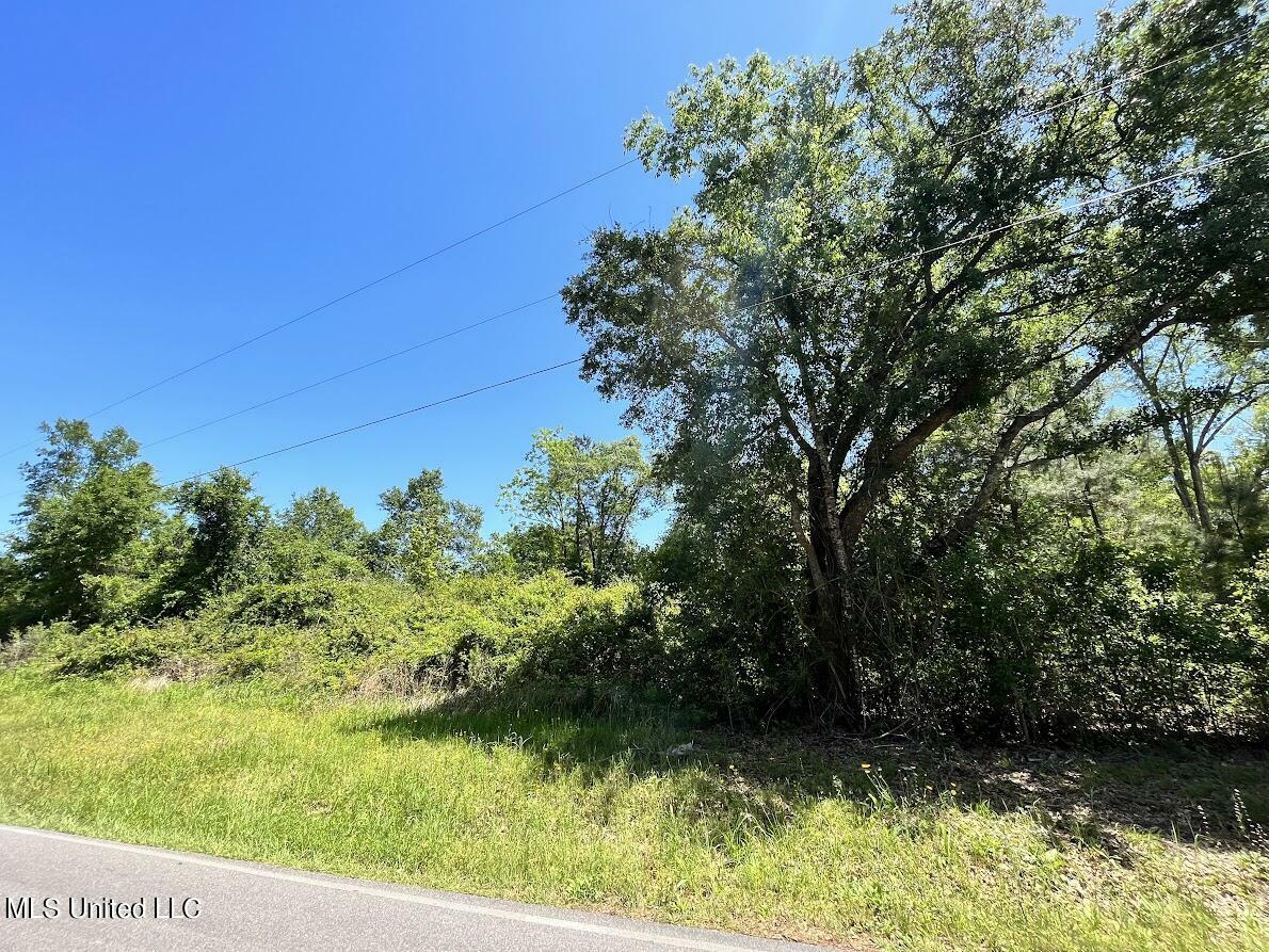 Property Photo: 5.31 Acres Fenton Dedeaux Road MS 39556