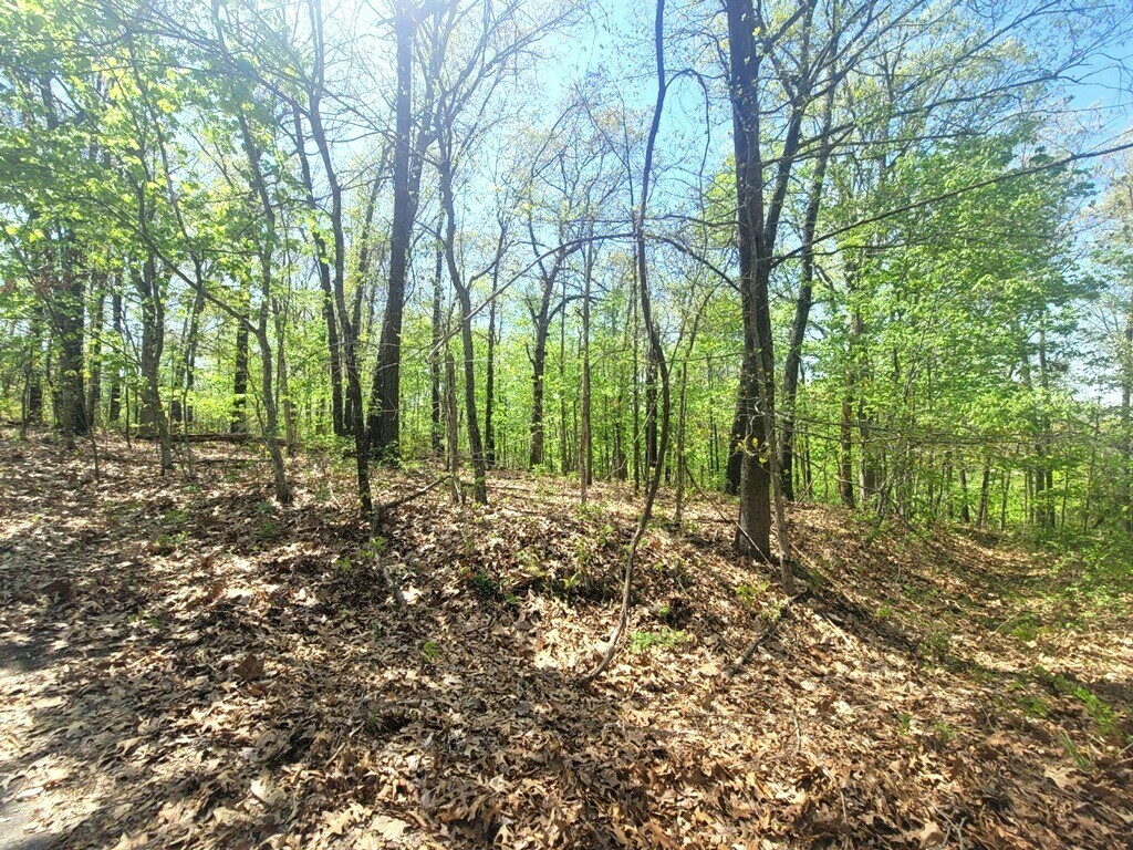 Property Photo:  Lot 11 Greenlaw Lane  AR 72715 