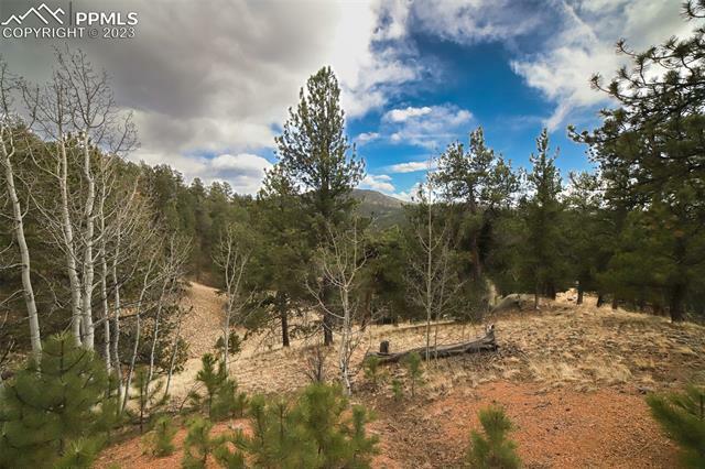 Property Photo:  1440 Pikes Peak Drive  CO 80814 