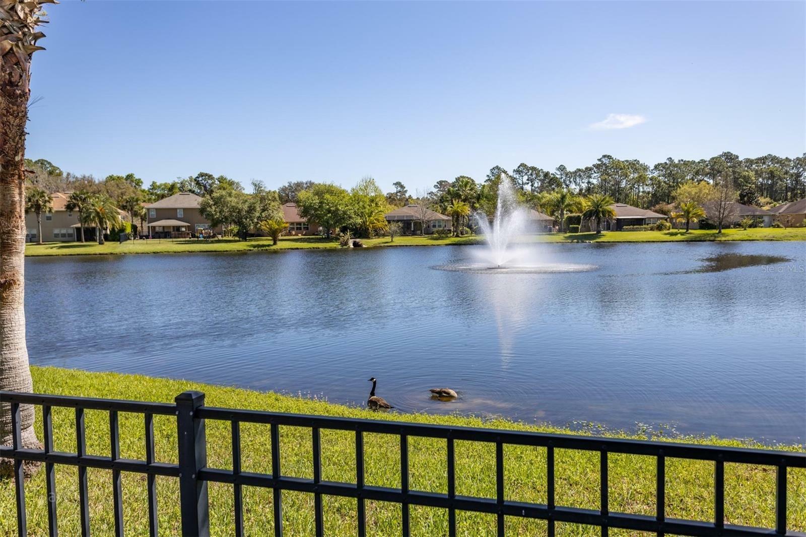 Property Photo:  416 Talbot Bay Drive  FL 32086 