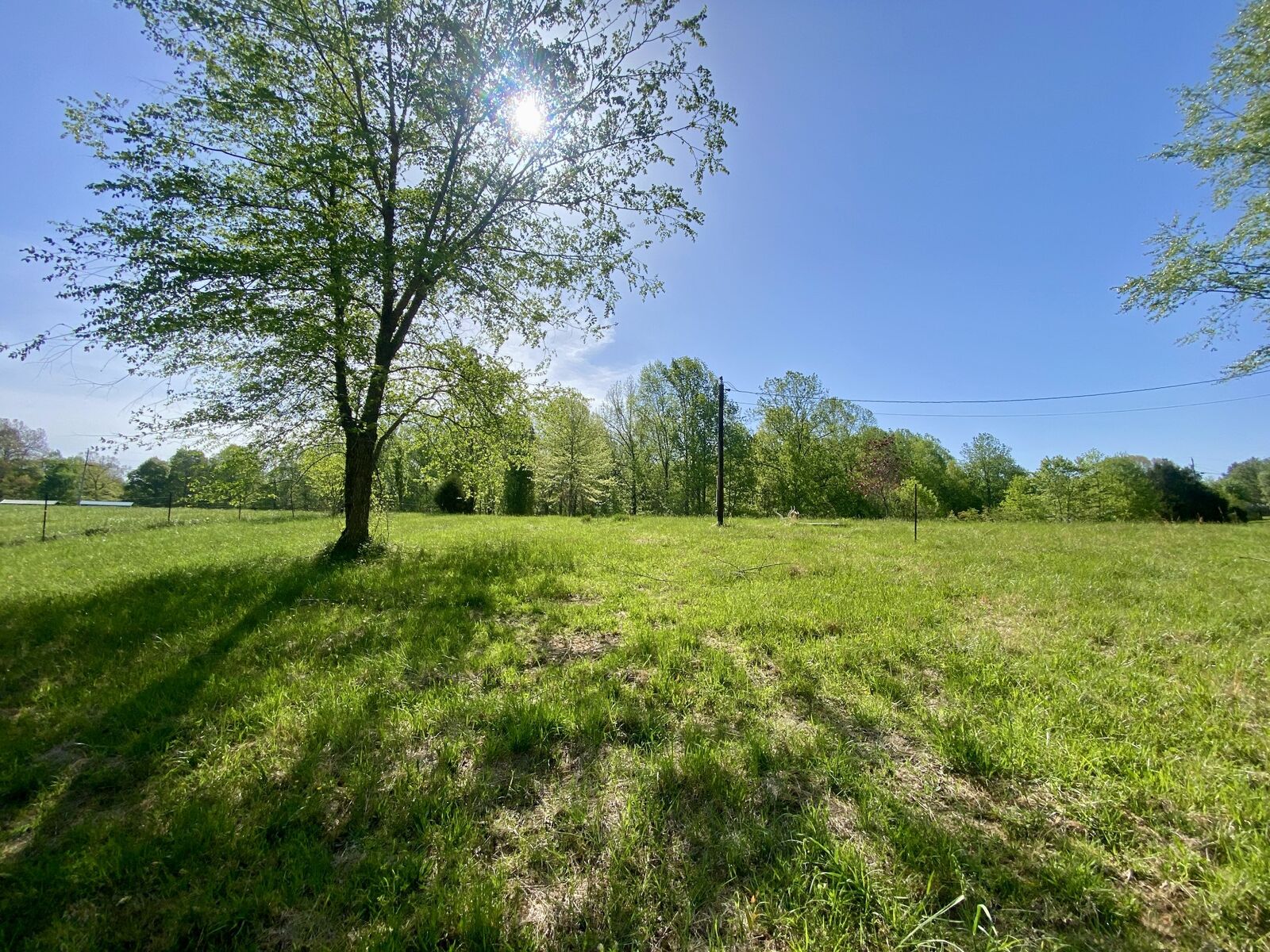 Property Photo:  436 Pine Orchard Rd  TN 37166 