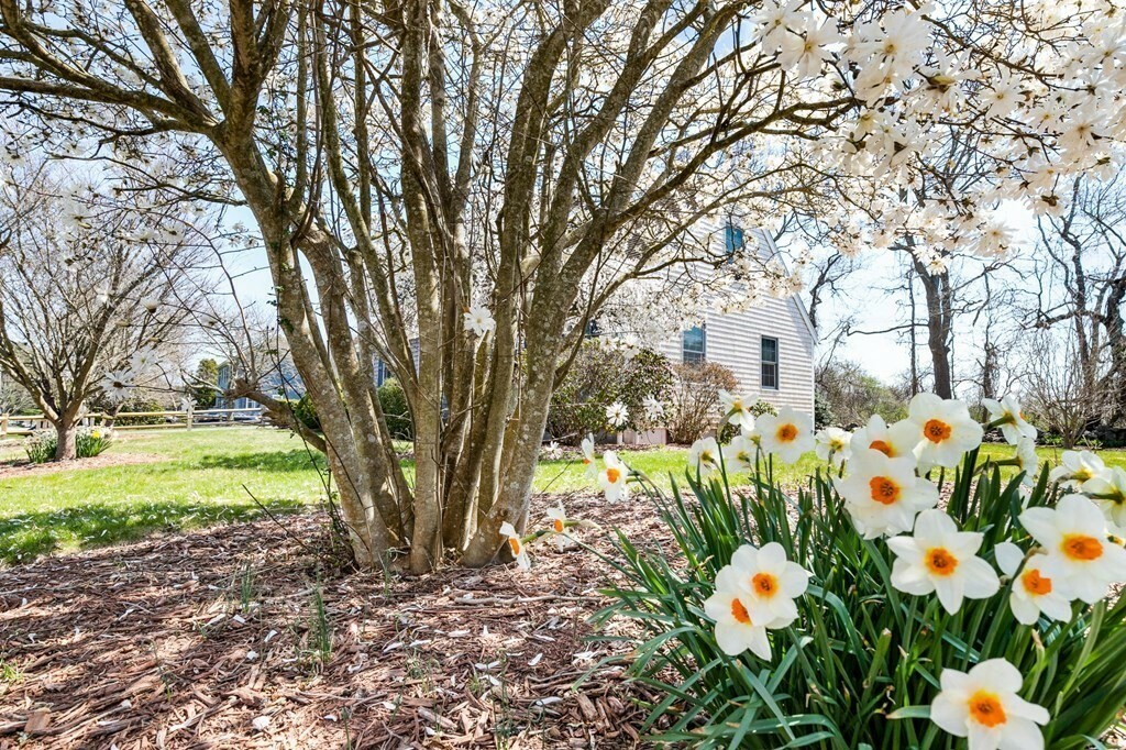 Property Photo: 13 Laura Ln MA 02719