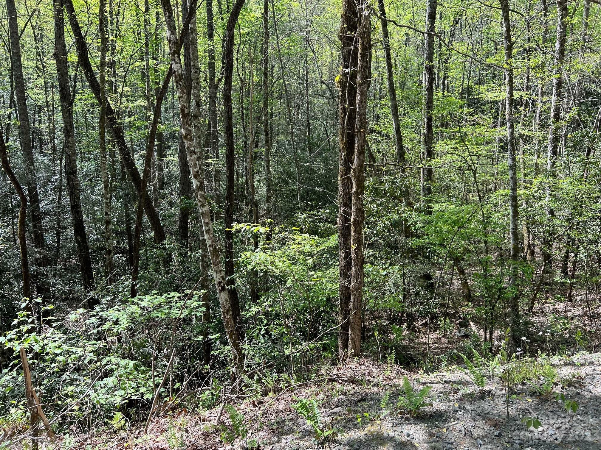 Property Photo:  000 High Top Mountain Road 15  NC 28789 