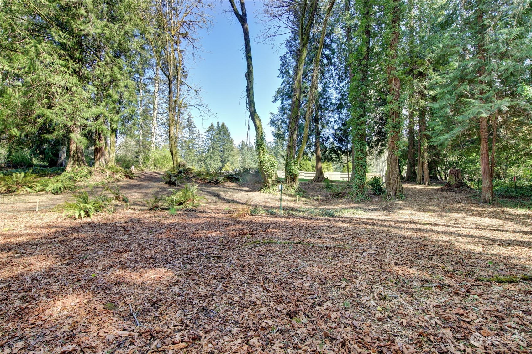 Property Photo:  10229 NE Ronald Court  WA 98110 