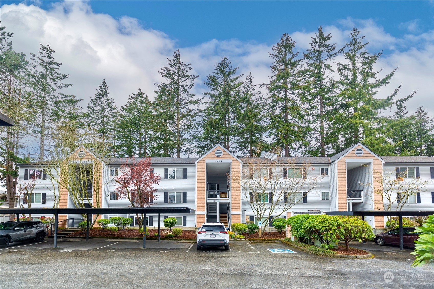 1007 156th Avenue NE B210  Bellevue WA 98007 photo