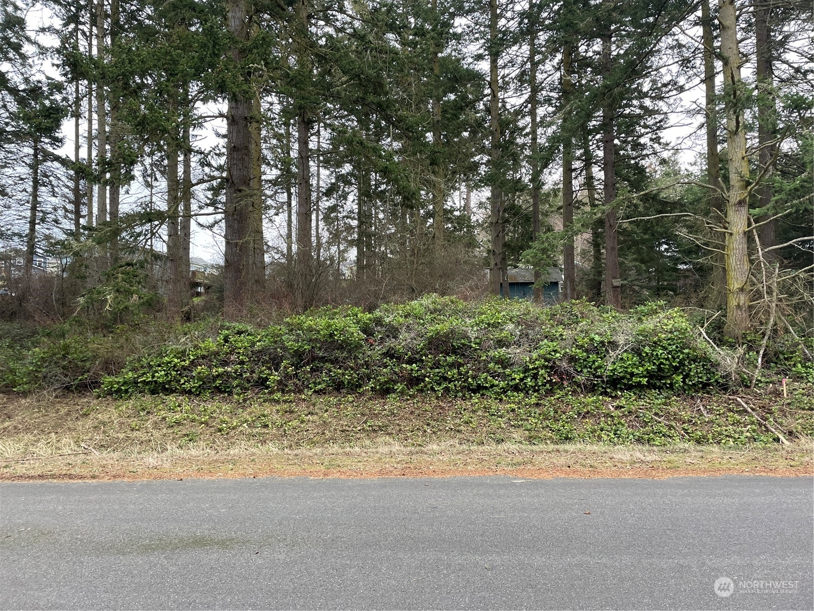 9999 Palisades Drive  Coupeville WA 98239 photo