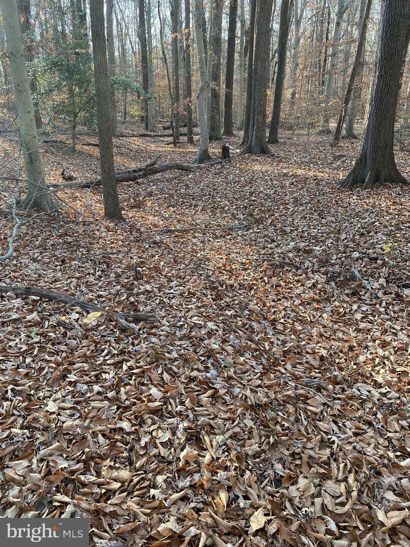 Property Photo: Newasa Lane MD 20607