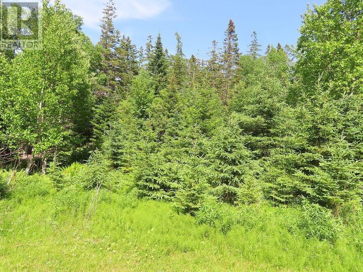 Property Photo:  99-5 72 Naturer Dream P Boulevard  NS B0E 3B0 