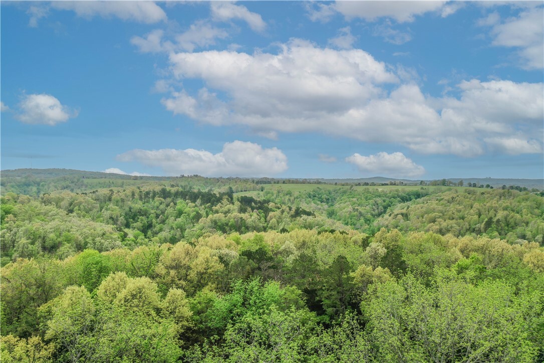 Property Photo:  Tract 3 Silver Ridge Road  AR 72632 