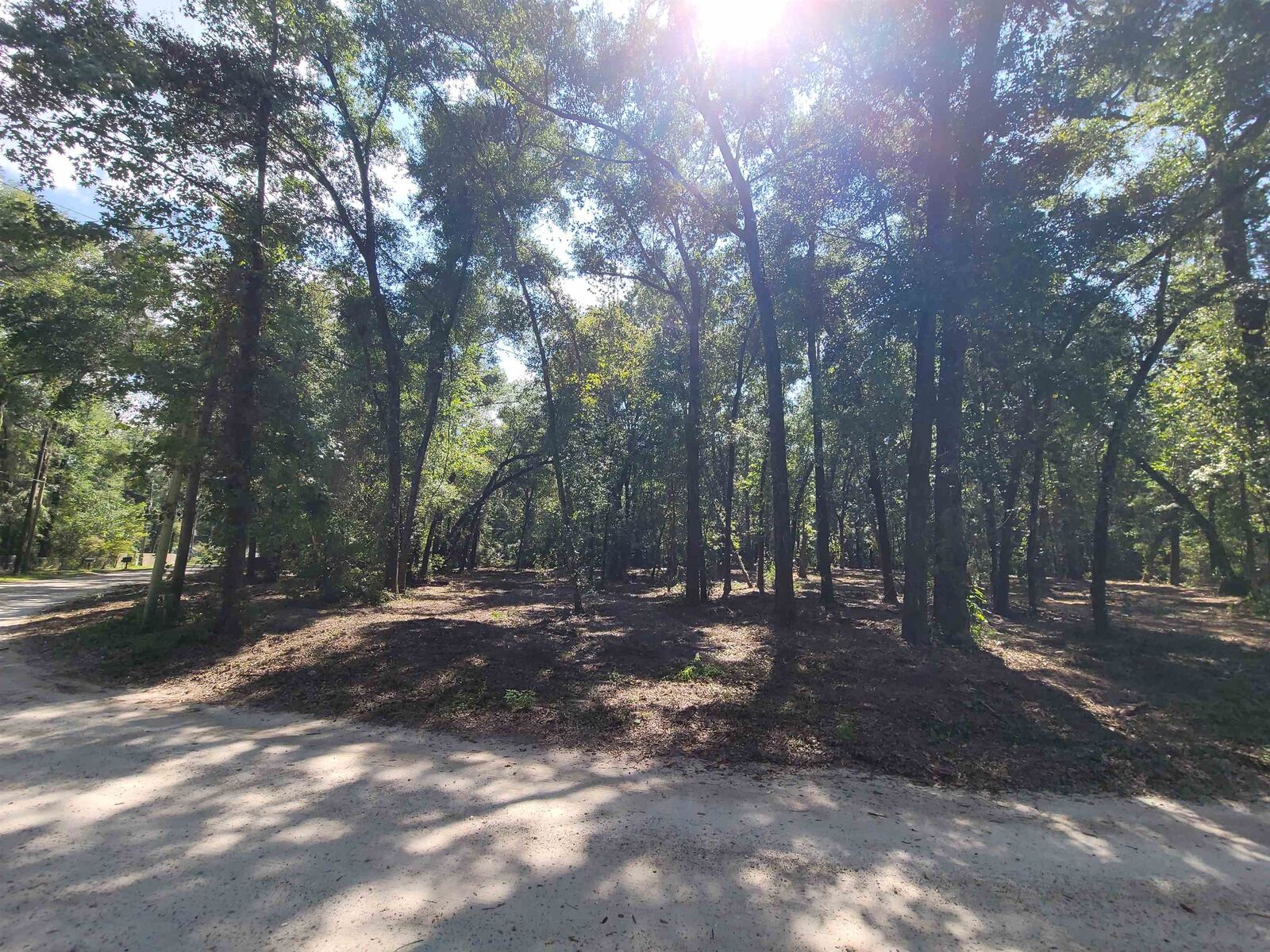Property Photo: Lot 4B Parramore Shores Road FL 32310