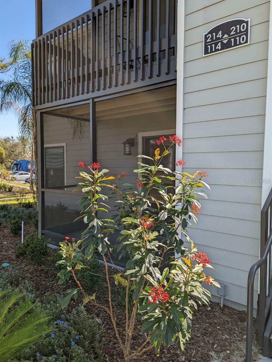 Property Photo: 3756 Idlebrook Circle 114 FL 32707
