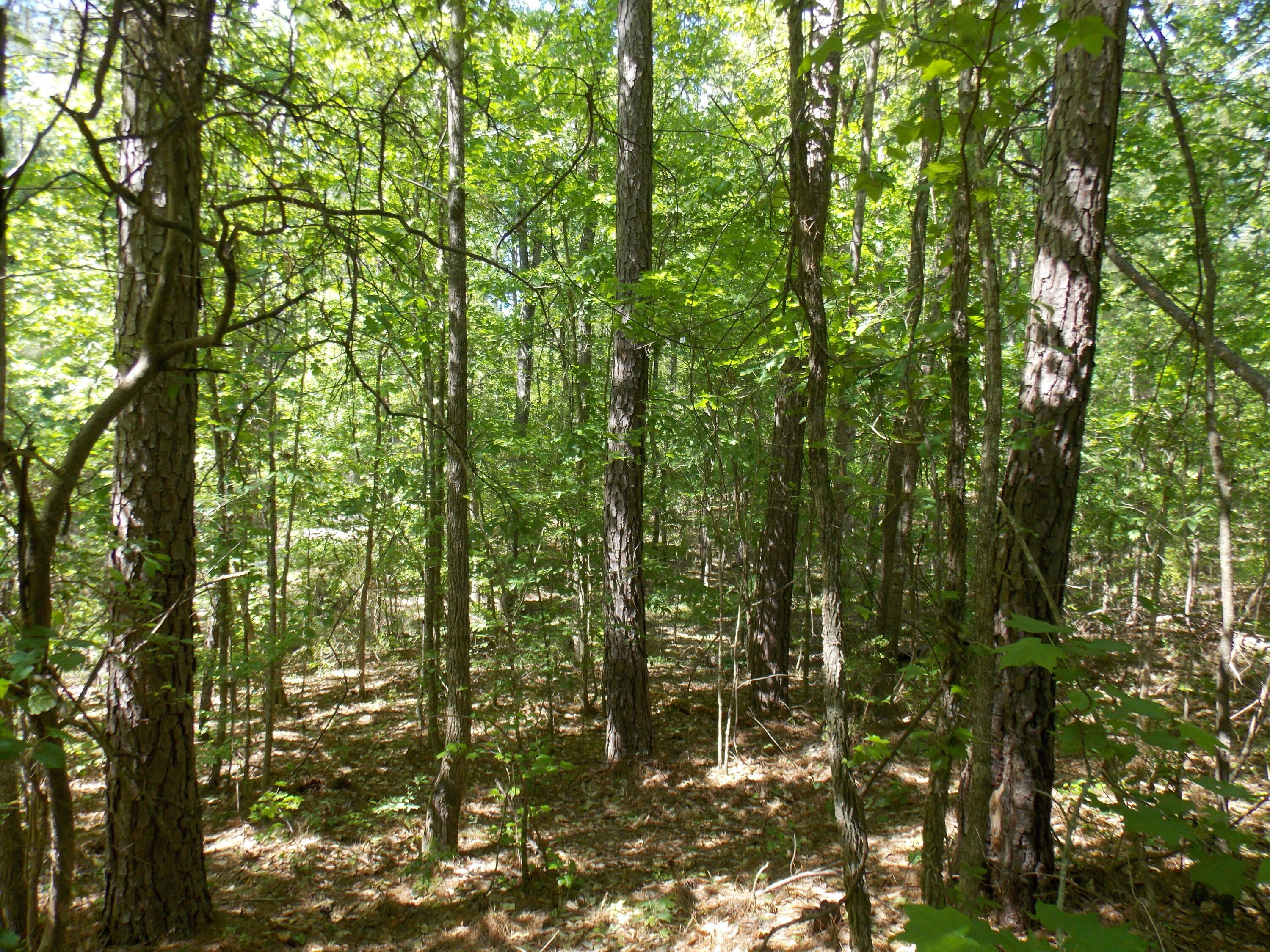 Property Photo:  12 Doe Run  GA 30817 